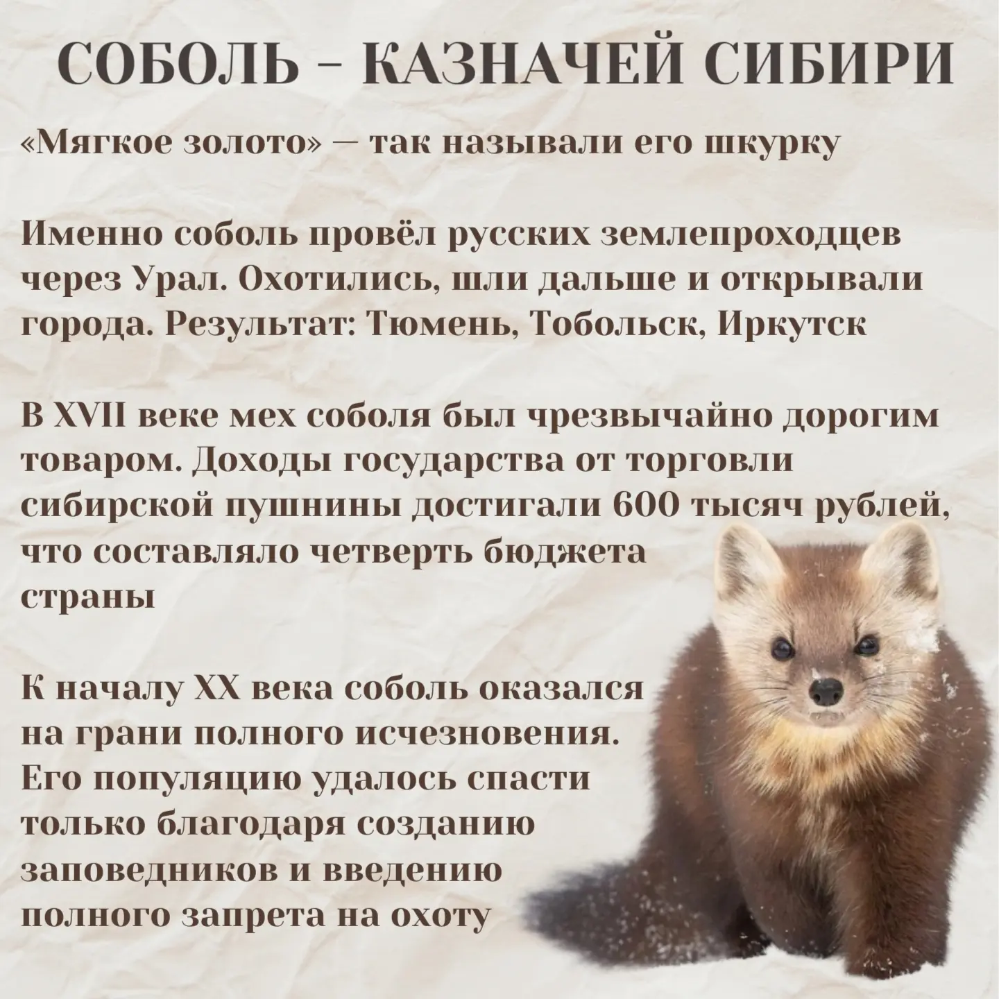 Живые символы России. 

Посмотрите на этот день не как на выходной, а как на возможность удивиться.
