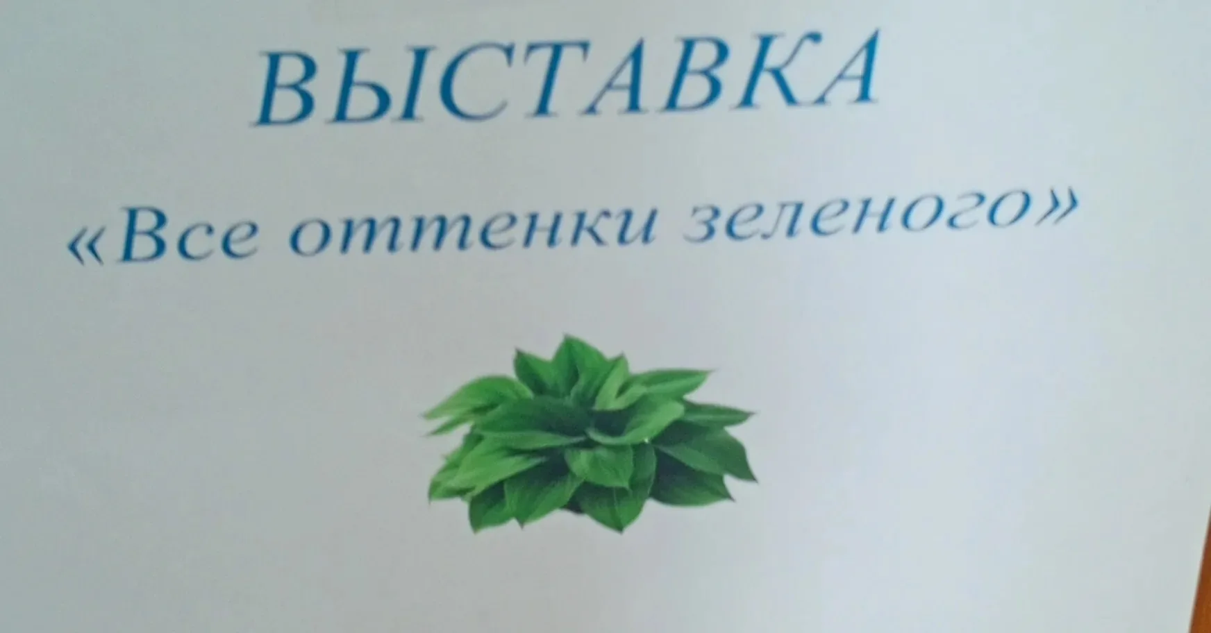Зелёное открытие: наша школьная выставка хост

☝️На днях в школе прошла удивительная выставка, посвя