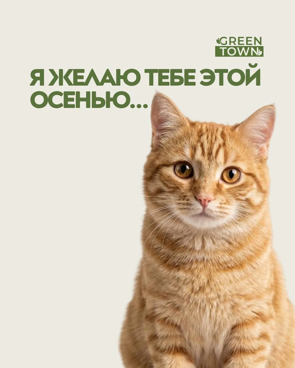 Желаем этой осенью всем побольше новых растений! 🪴