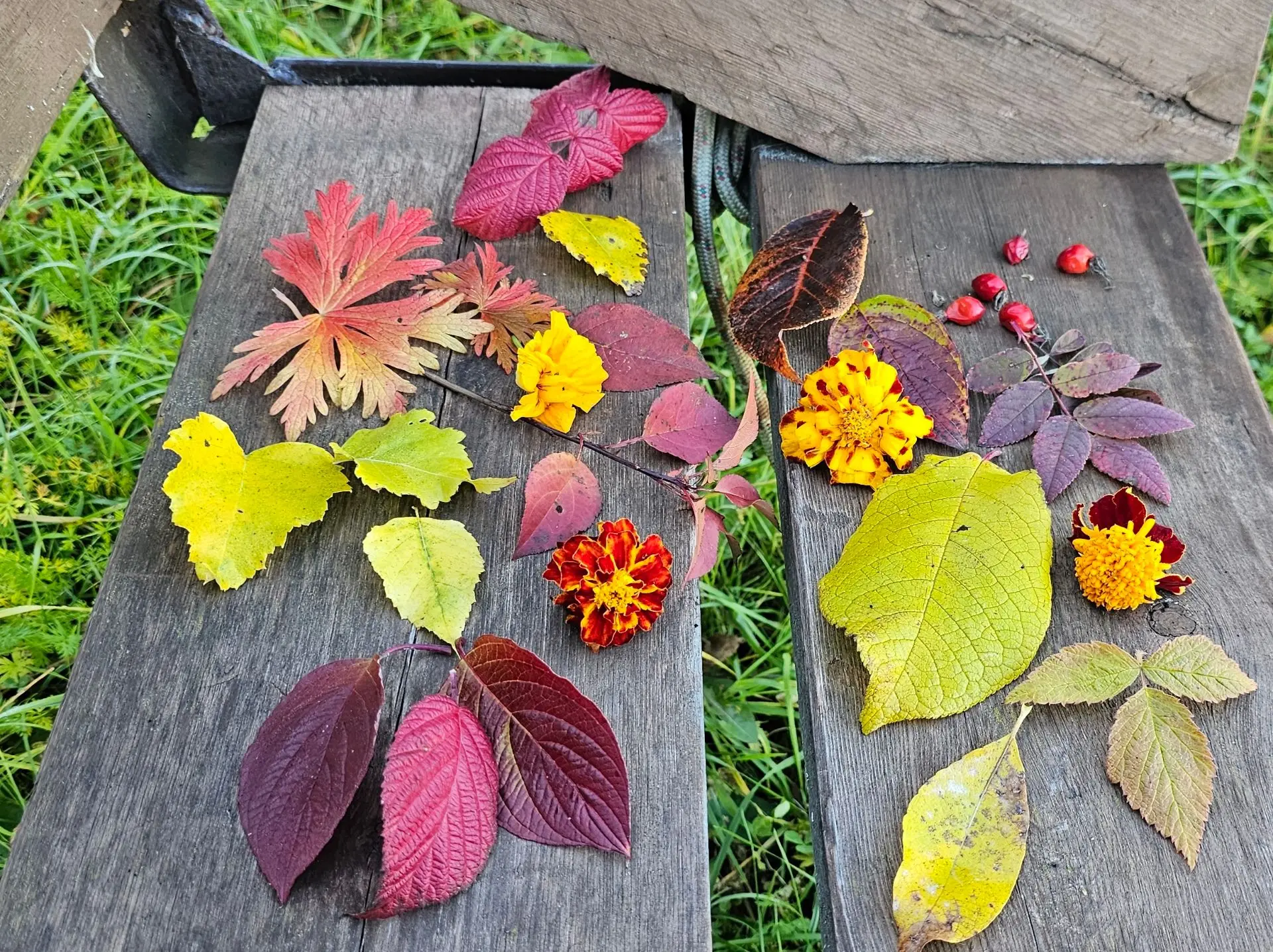 Доброе утро, друзья! Давайте вот таким осенним натюрмортом начнём этот воскресный день😊