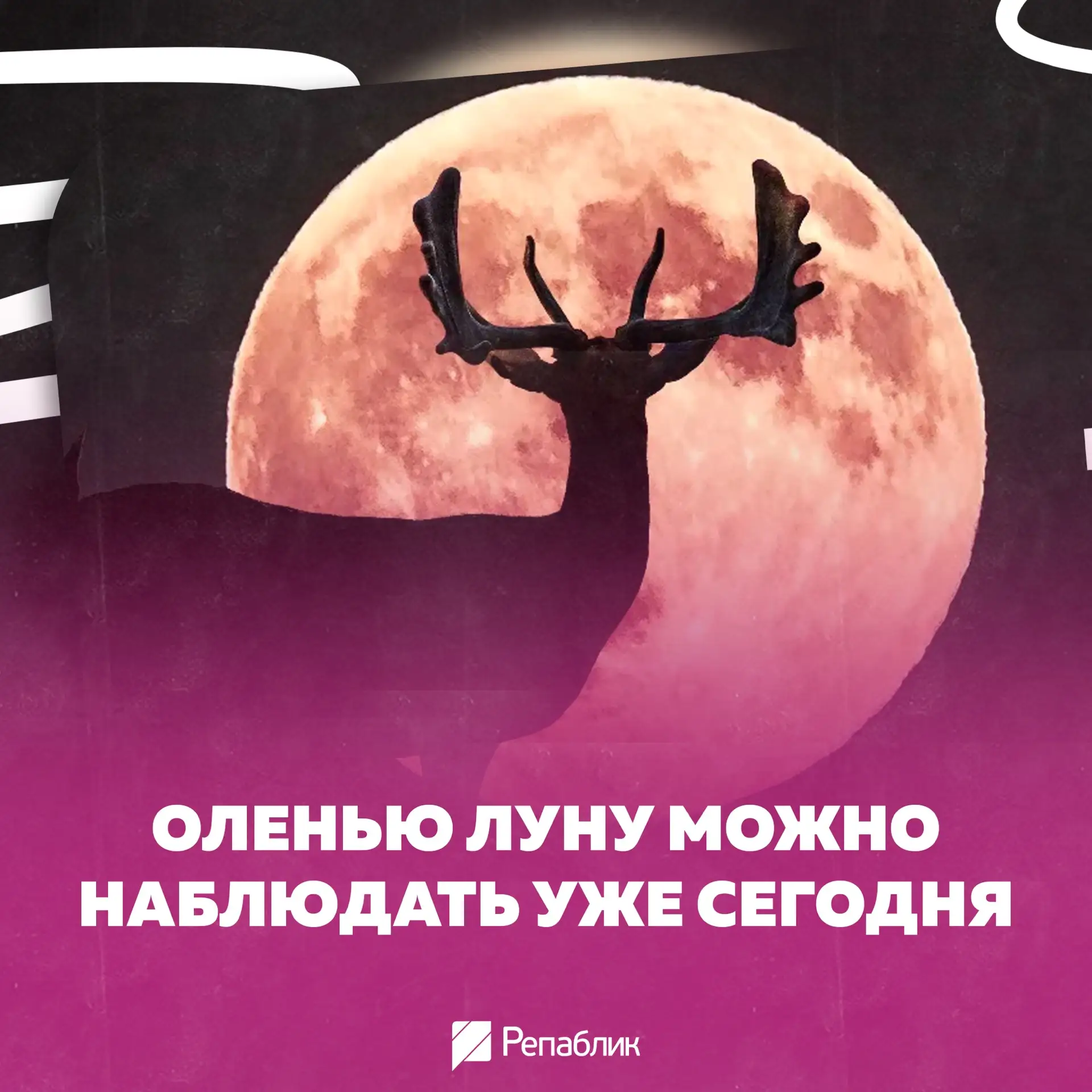 Небо готовит нам зрелище, которое не стоит просыпать 🌕🦌

В 17:36 по московскому времени наступит и
