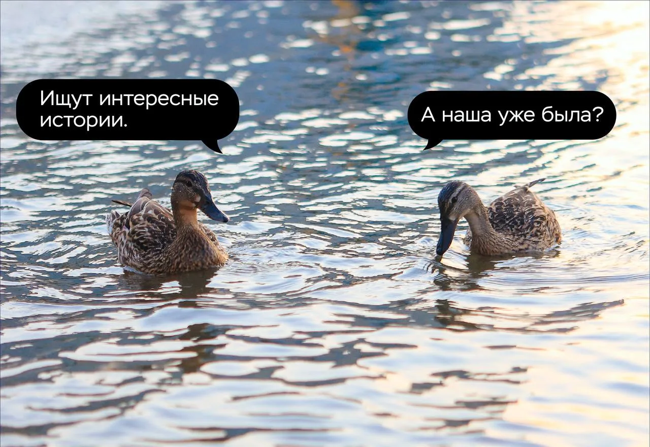 Мы часто рассказываем о домах.
Но самое интересное в них — люди (и утки)

Семьи, которые нашли бо