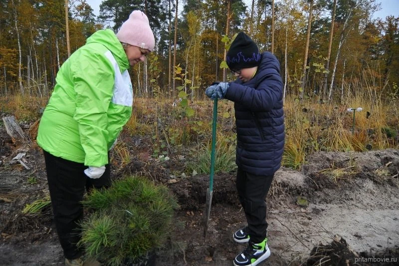 🌲Тамбовская область примет участие во Всероссийской экологической акции «Сохраним лес»...