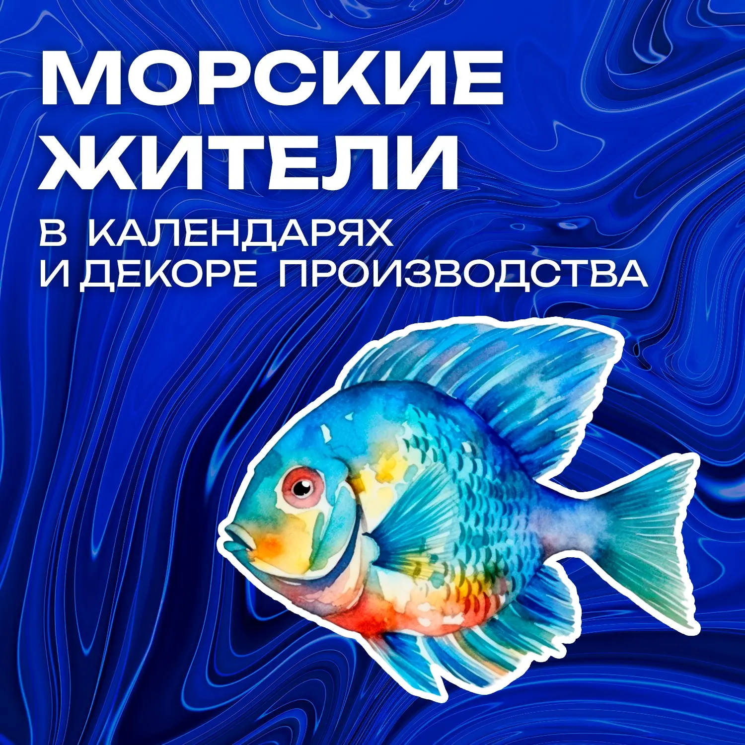 🐠🐠🐠