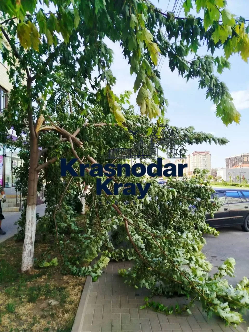 🌪️ Шторм в Анапе преподносит сюрпризы