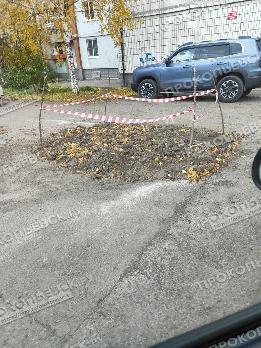 От подписчиков.