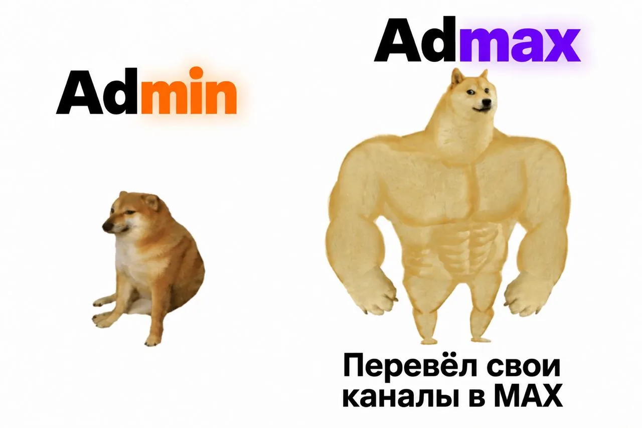 На злобу дня