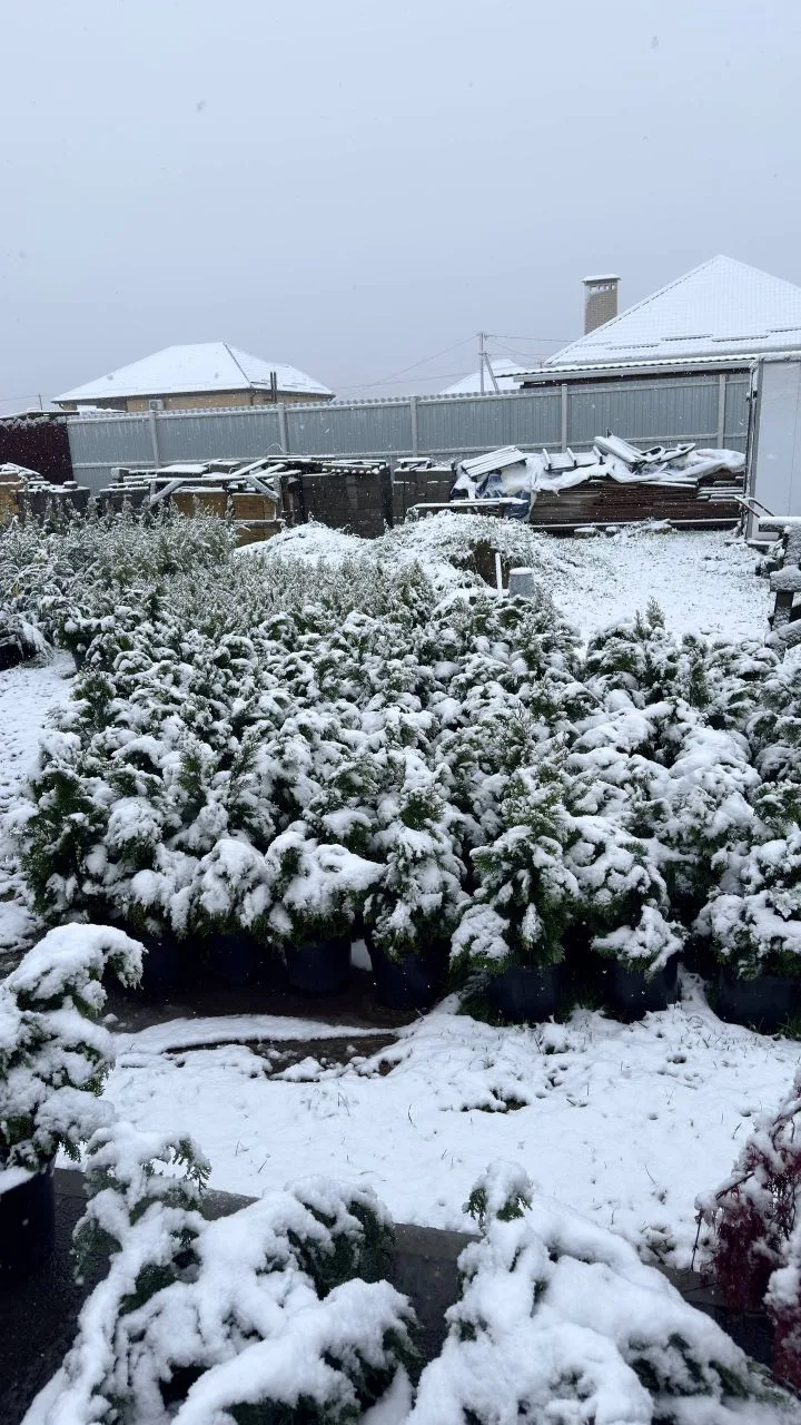 ❄ 2 мая в Ставрополе