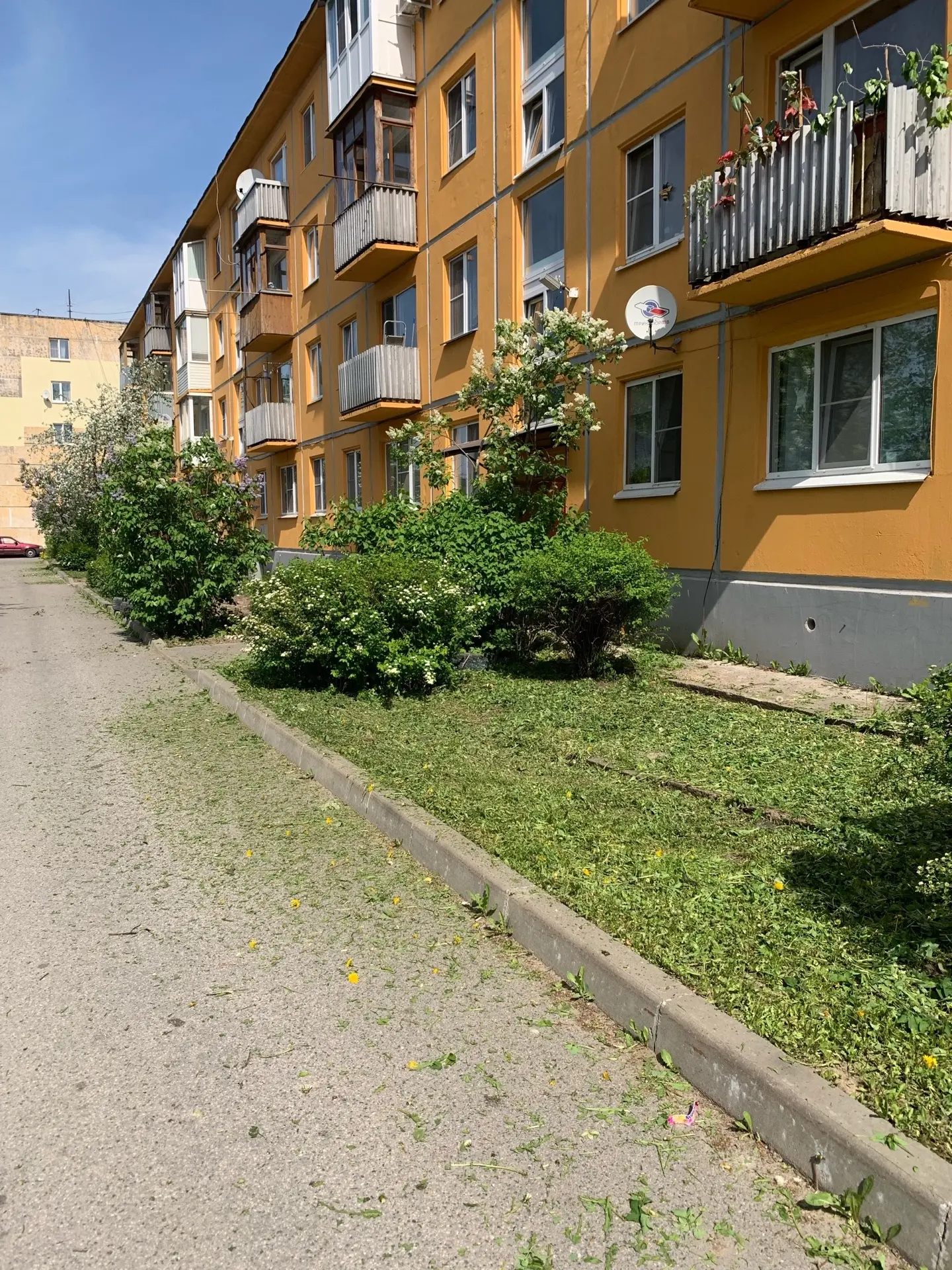 ☘️Выполнены работы по окосу травы по адресу: Московское шоссе, д. 19.