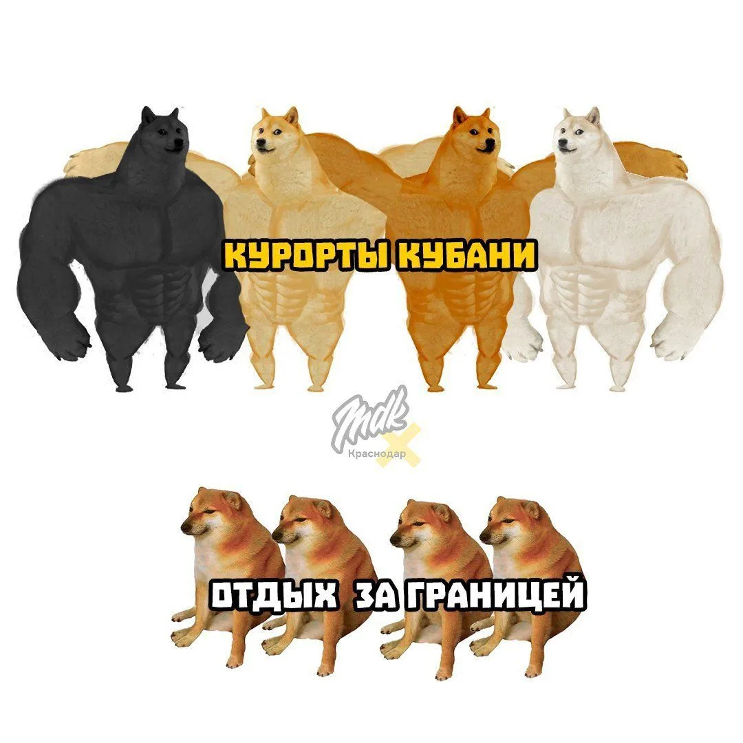 Едем ✅