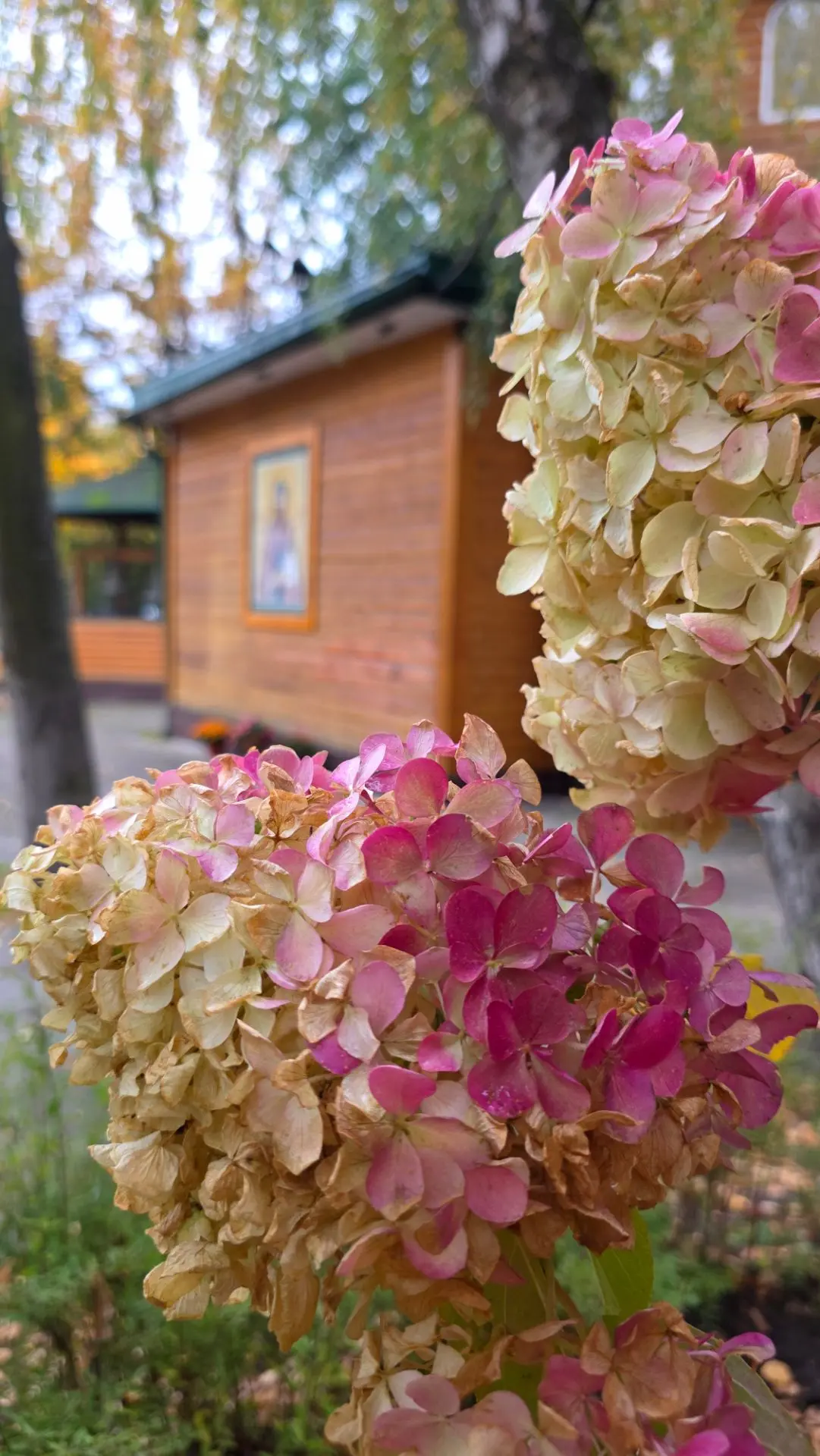 🍁 05 октября