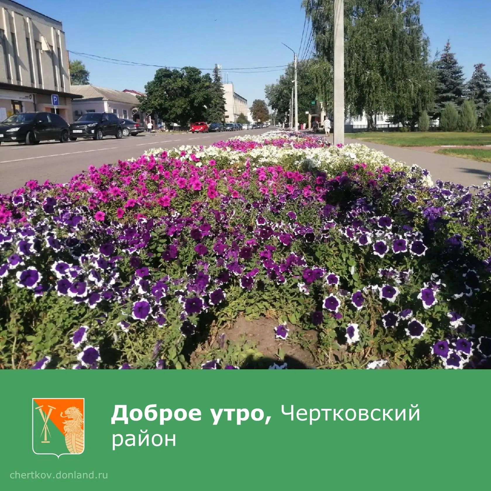 Желаем яркого плодотворного дня!