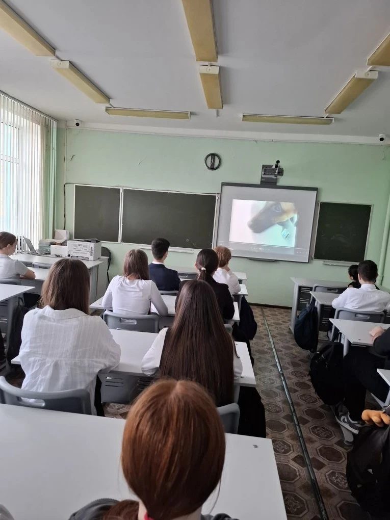 Знание законов и соблюдение  правил – залог безопасного будущего.  В  нашей школе прошли профилактич