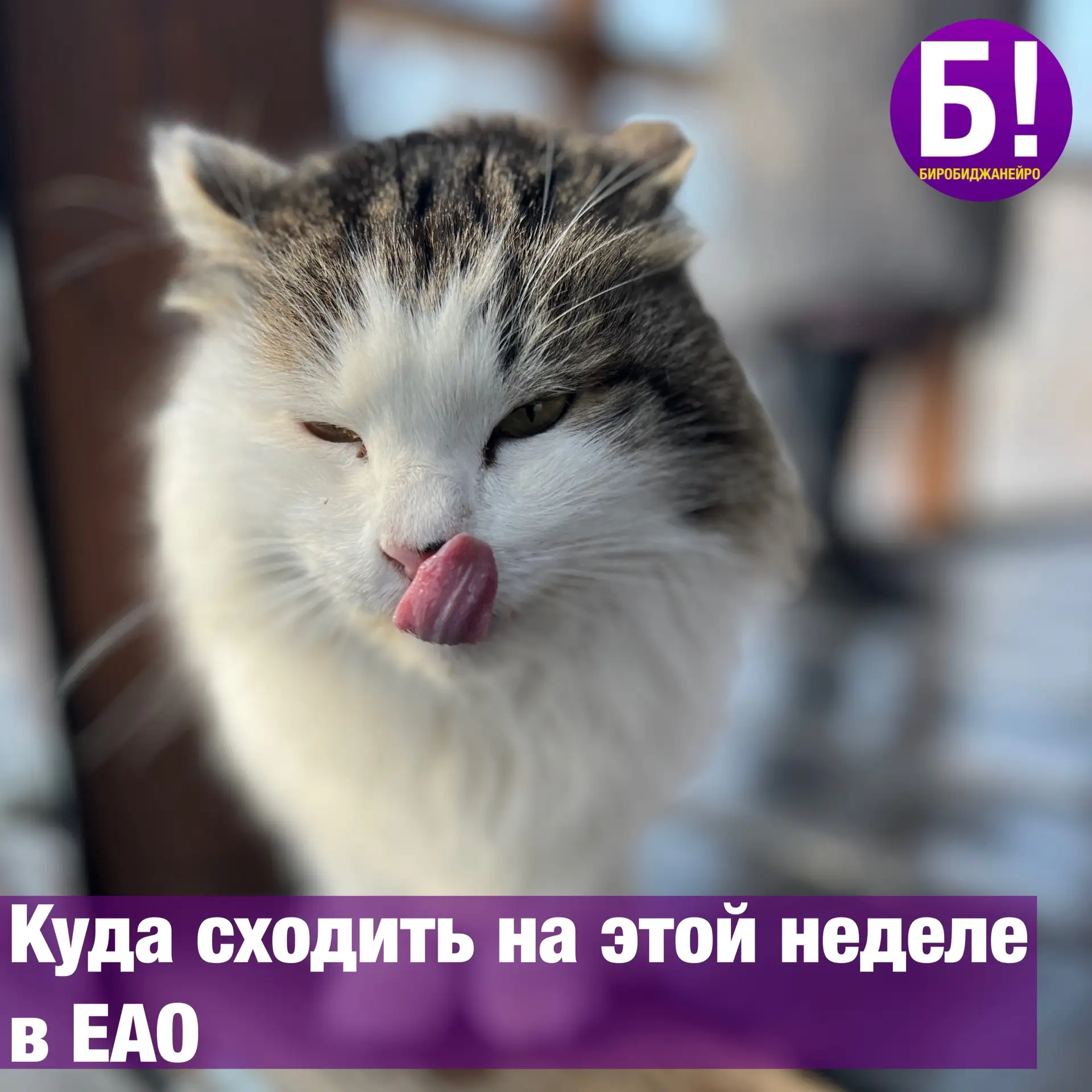 Куда сходить на этой неделе в ЕАО:

📌 15-27 июня, 10:00-18:00 — Выставка произведений из фондов муз