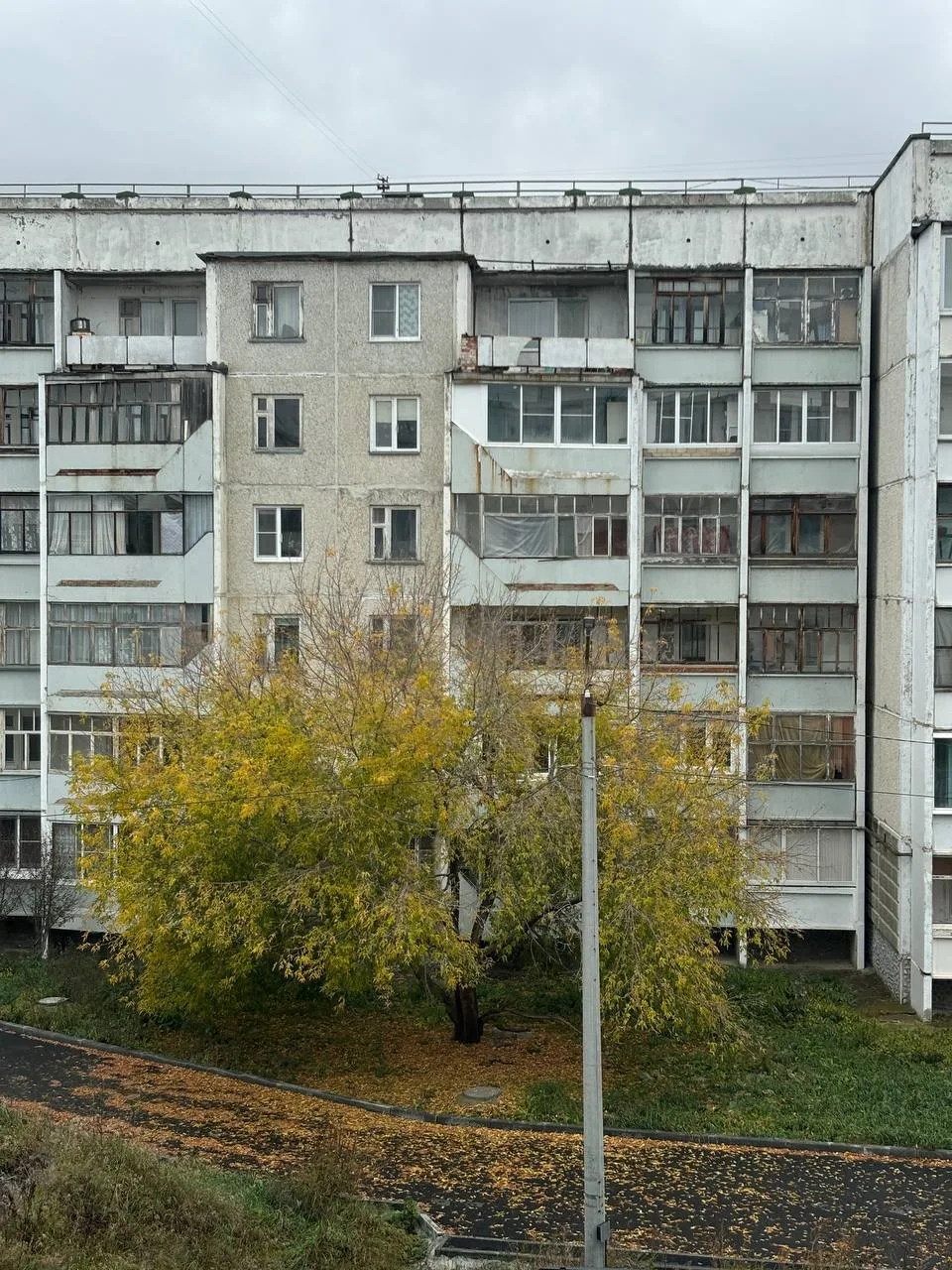 Всем доброе осеннее утро!