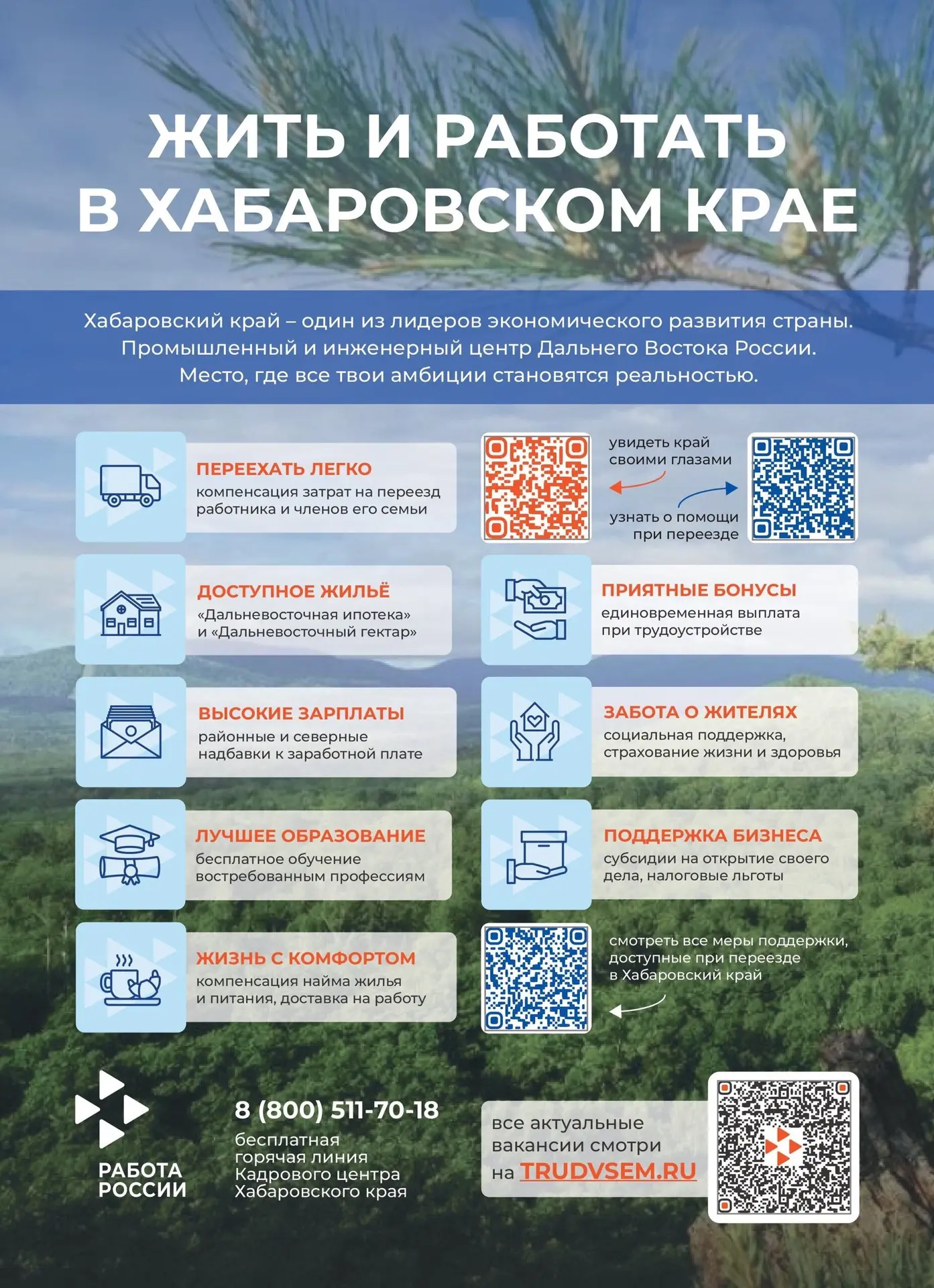 Жить и работать в Хабаровском крае - модно 👍