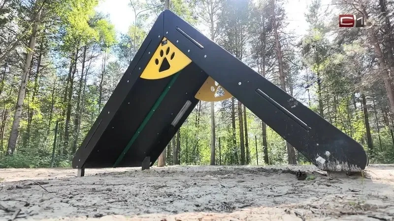 🐶 В парке «За Саймой» установили освещение на площадке для выгула собак

Проект активистов получил 