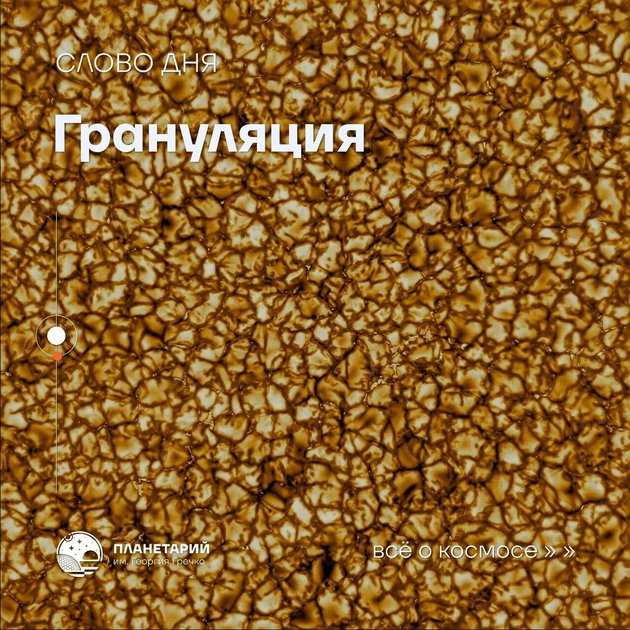 Слово дня: ГРАНУЛЯЦИЯ