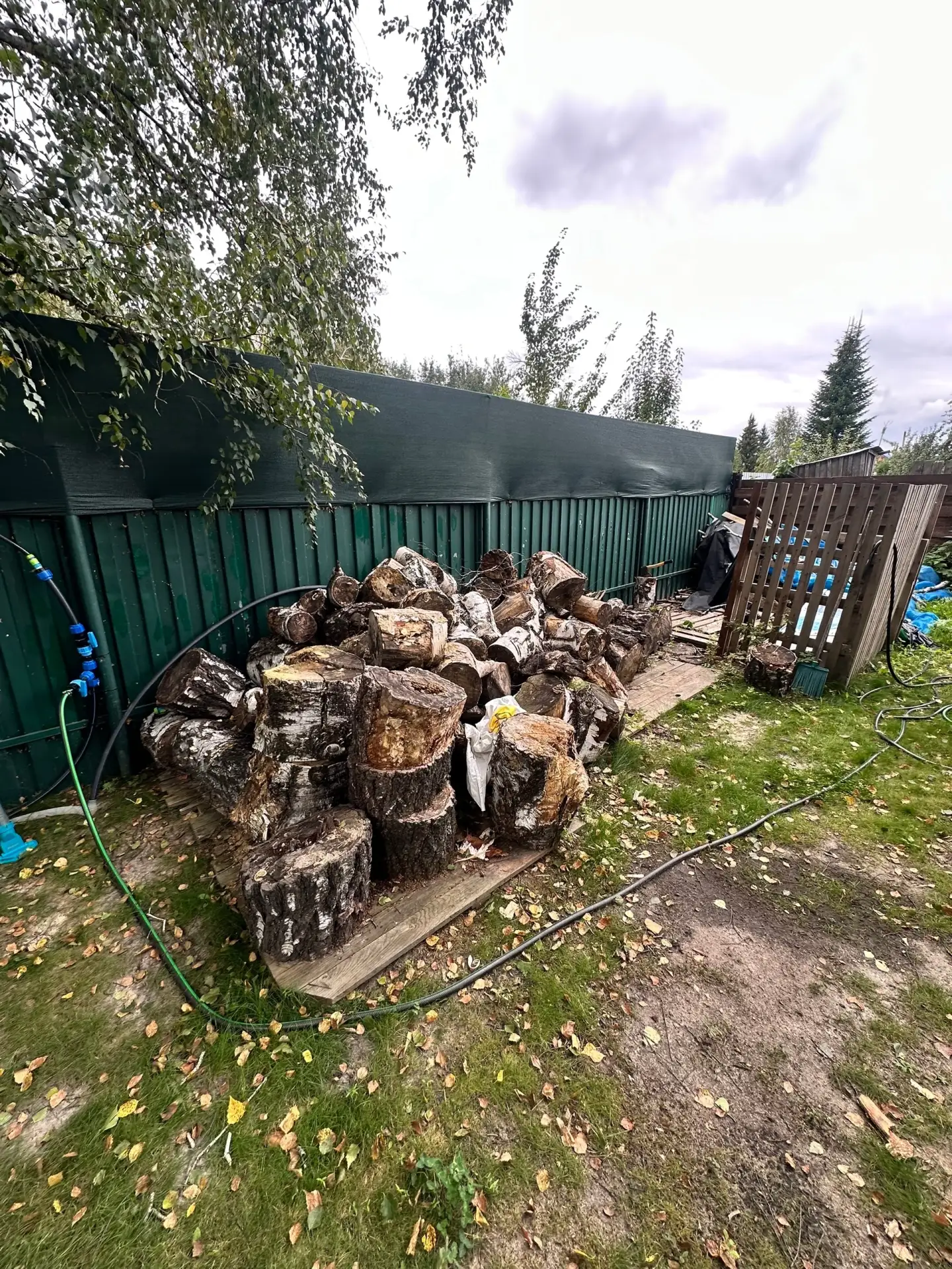 Расколоть дрова , какие то распилить и сложить у забора . Снт Русь . Цена ?