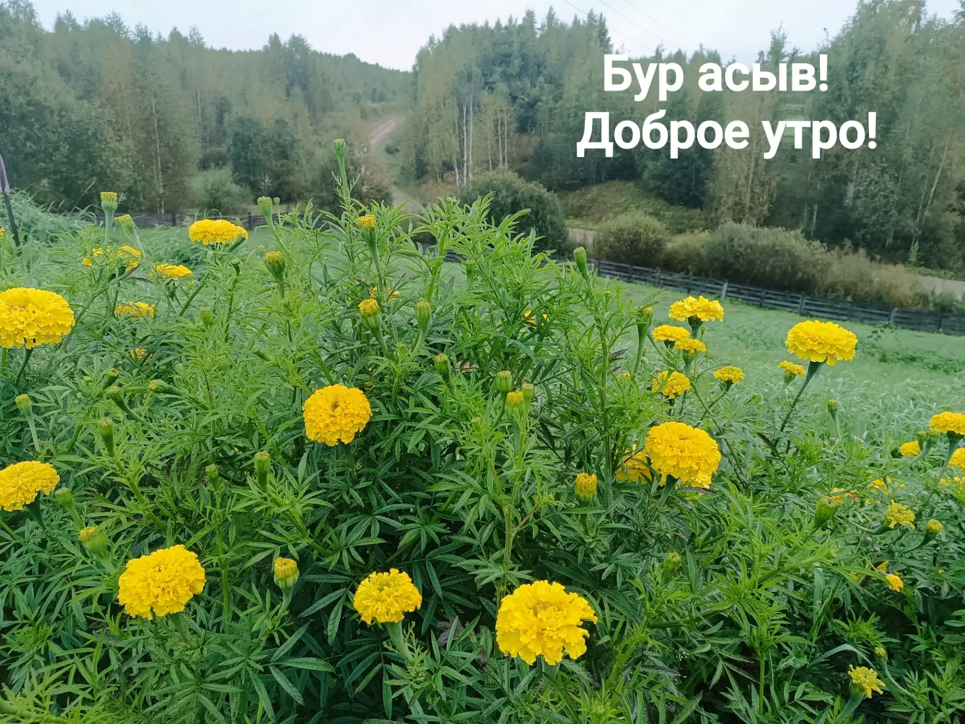 ✨ 23 августа — отличный повод начать день с улыбки и добрых мыслей.