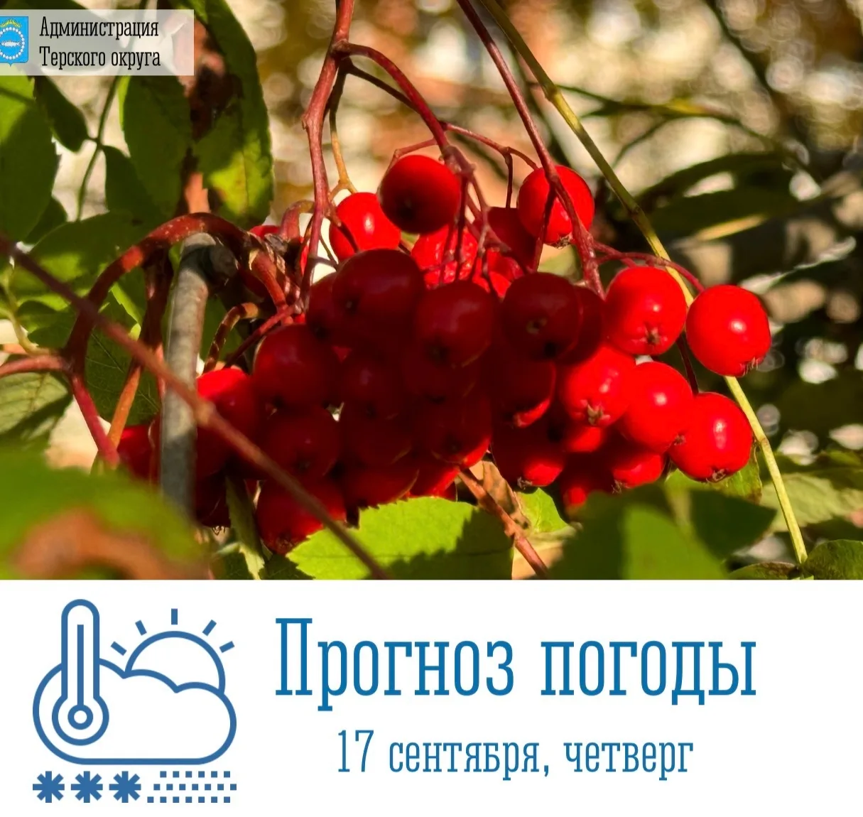 🌥 Доброе утро!