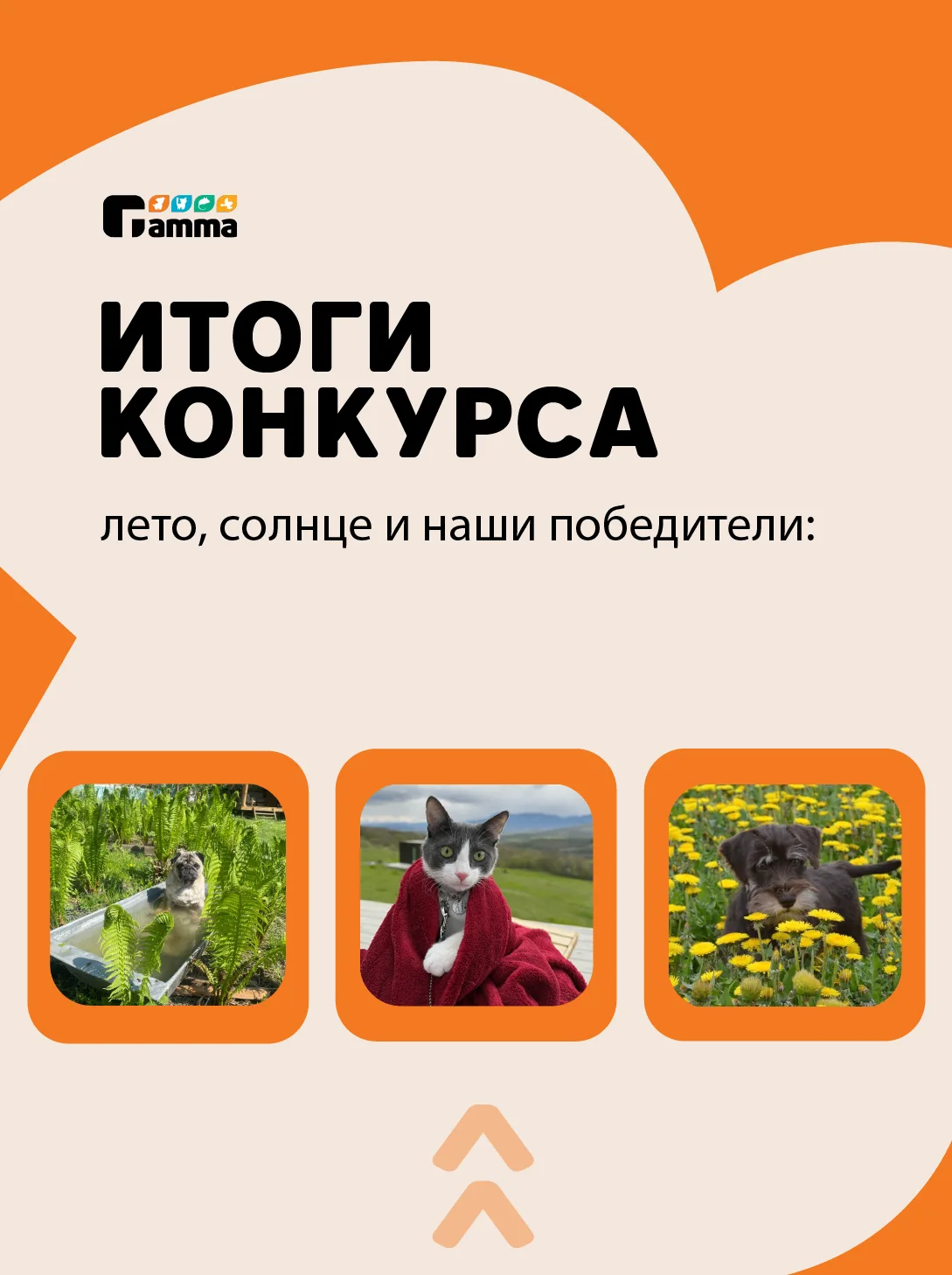 🔥📷 Встречайте победителей фотоконкурса!