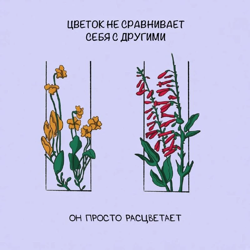 🌷Мысль дня