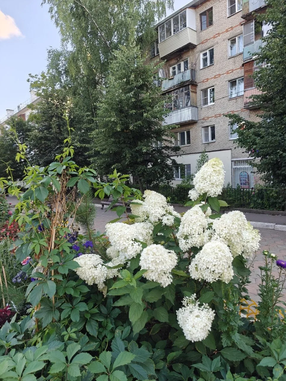 Доброе утро, Лобня!