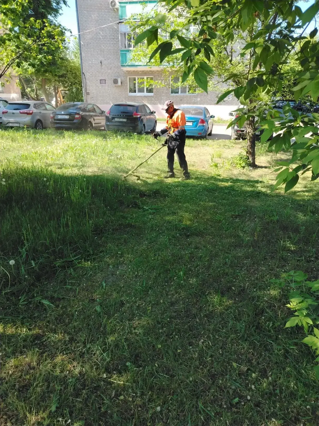 Сделаем улицы Доброго Советского чище 🌿👏🏻  Наши подрядные организации продолжают следить за чистотой