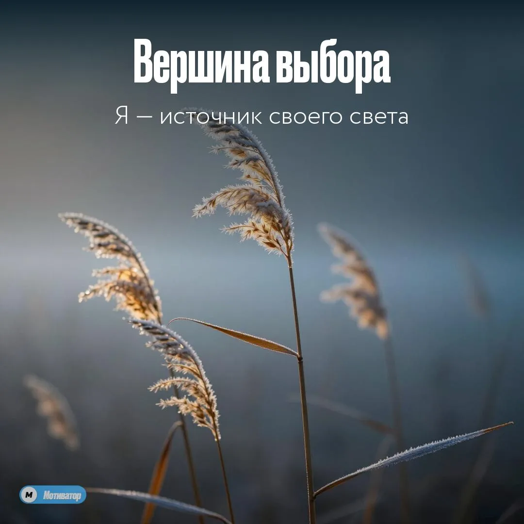 Сегодня я стою на вершине своей силы и выбираю этот рассвет

Золотой час встречает меня как напомина