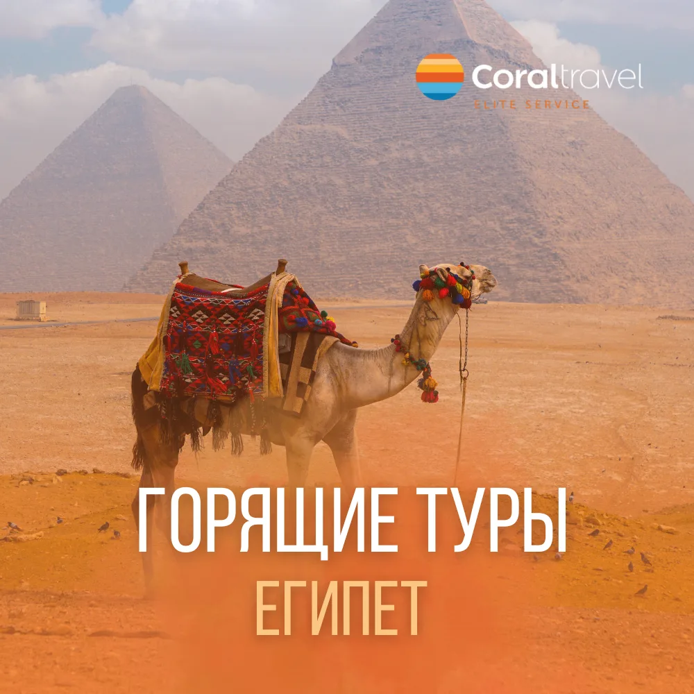 Горят туры в Египет 😱  Не упустите шанс улететь к коралловым рифам Красного моря по отличной цене 🌊🐠