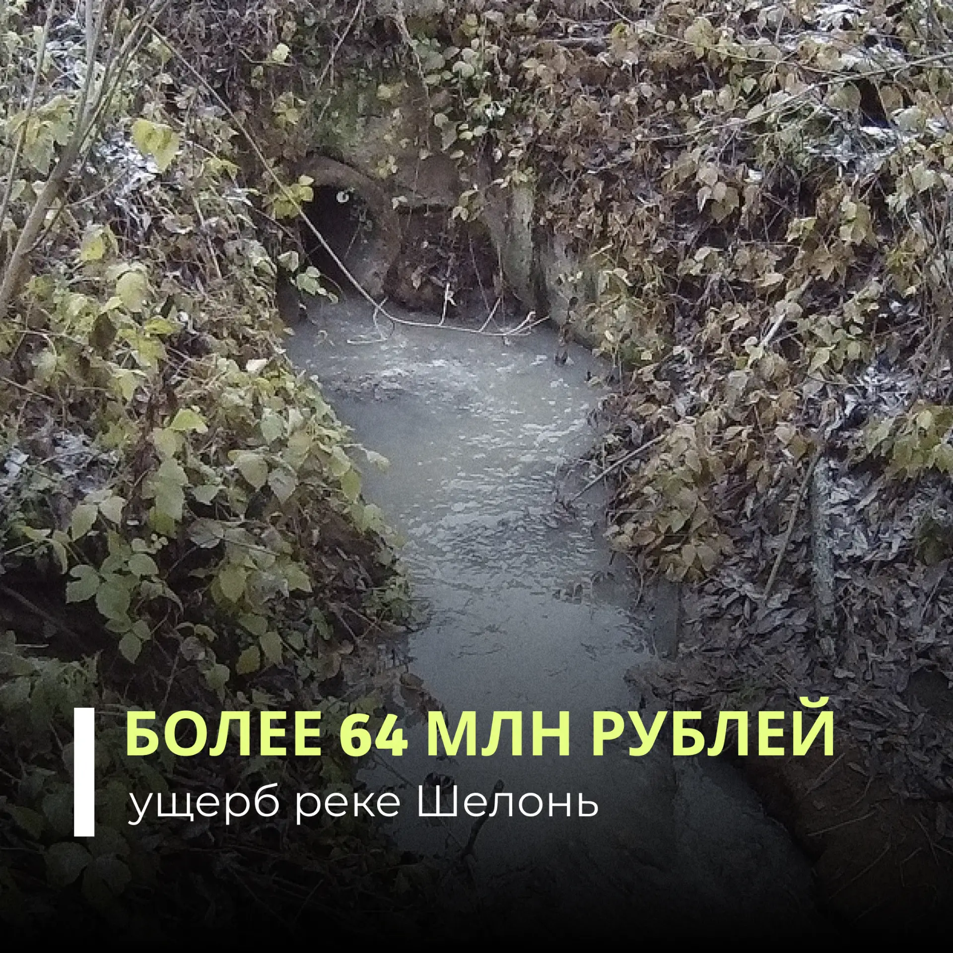 Росприроднадзор направил требование о добровольном возмещении вреда, причиненного реке ...