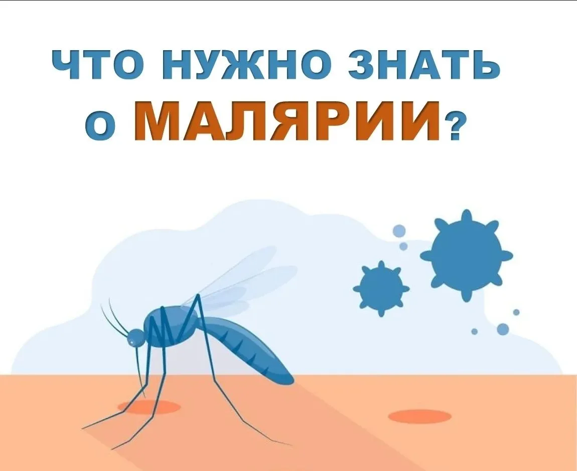 За  2025 было  зарегистрировано  6 летальных случаев  от  малярии! 
Эндемичными  территориями  являю