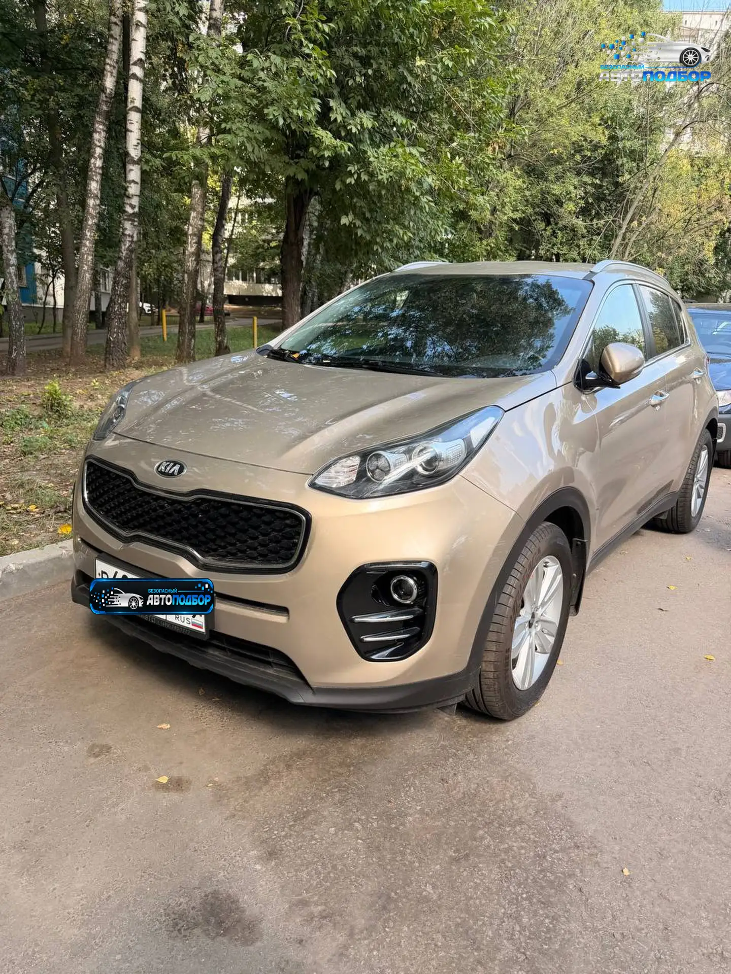 За 7 дней нашли отличный кроссовер 🚙