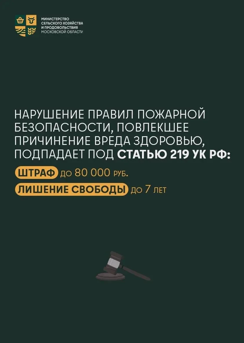 🔥 Пожароопасный сезон – период, когда даже небольшая неосторожность может привести к серьезным после