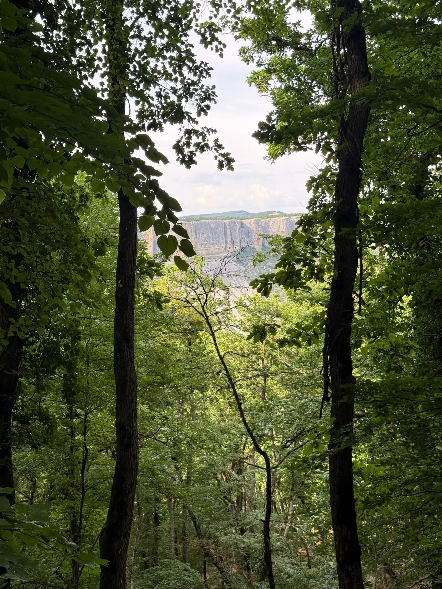 Бурун-Кая: один из лучших видов на Качинскую долину

🏞 Отсюда хорошо видны пещерные города Тепе-Кер