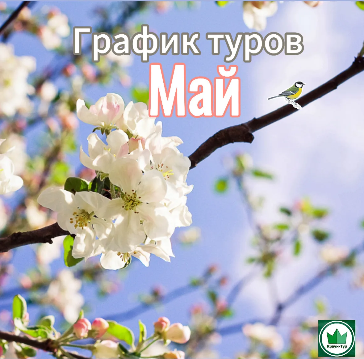 МАЙ  2026 🌺 26.04-3.05 - Санкт-Петербург от 62000р из Новокузнецка; (Экскурсионный тур) 💐 1-3 мая - 