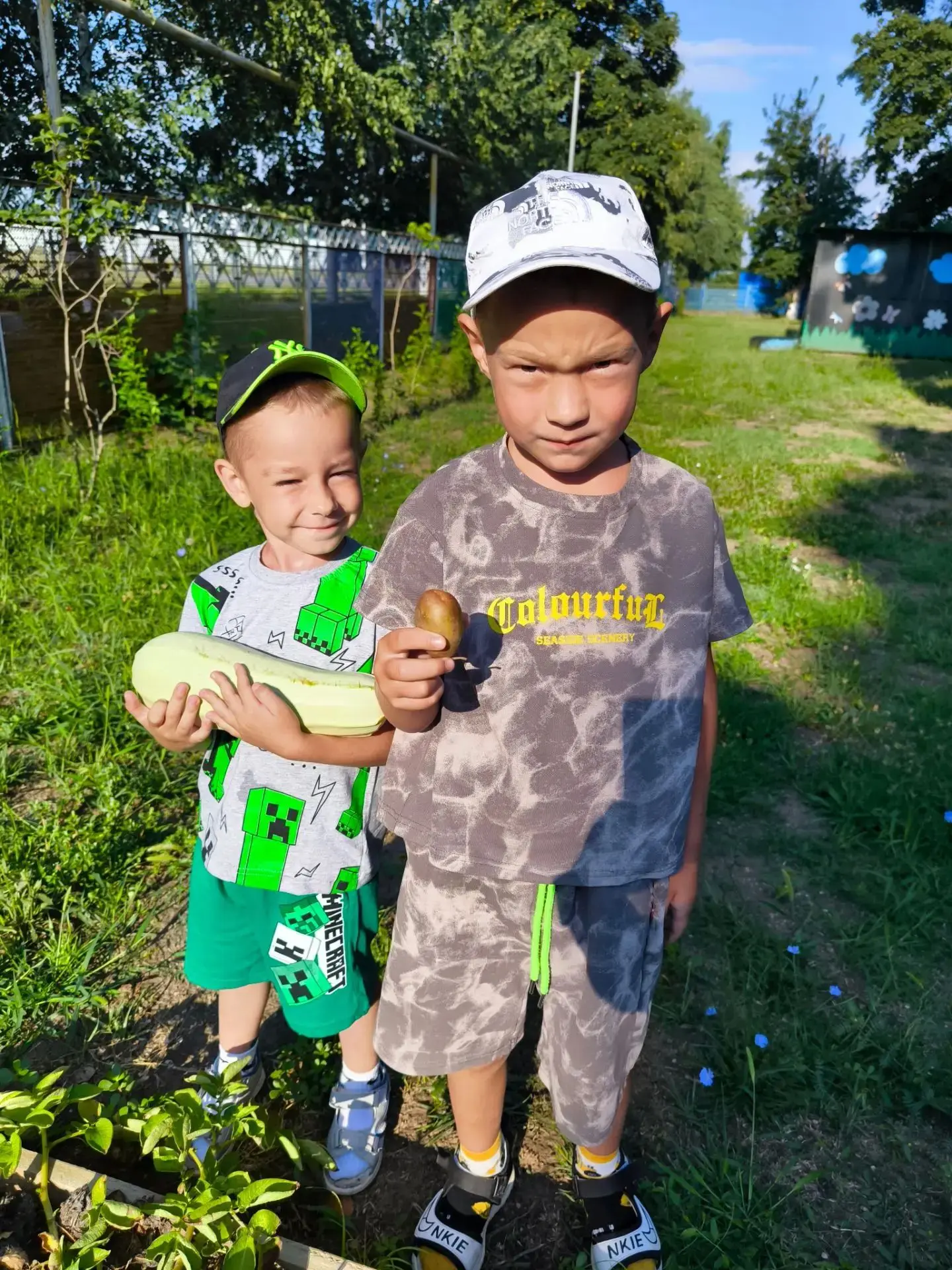 🥔 Урожай с грядки детского сада! 🥕

В нашем маленьком огороде, который находится на территории дет