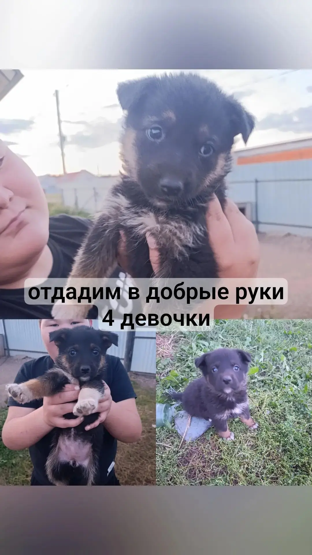Телефон для связи 89033547547