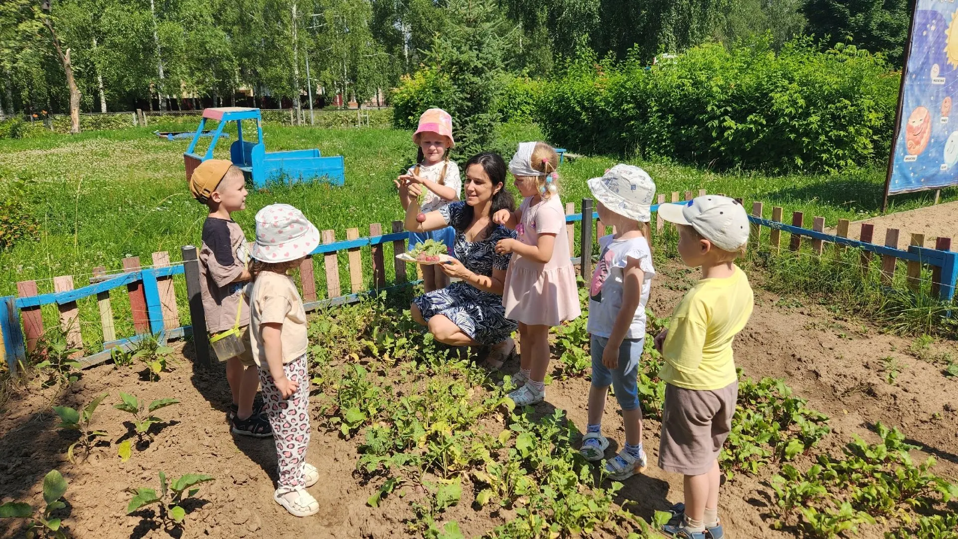 Смотрите, какие яркие красавцы выросли в огороде нашего детского сада! Сегодня ребята вместе с воспи