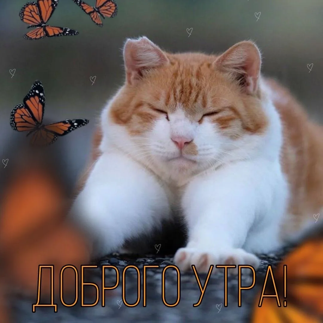 Красивые открытки❤️