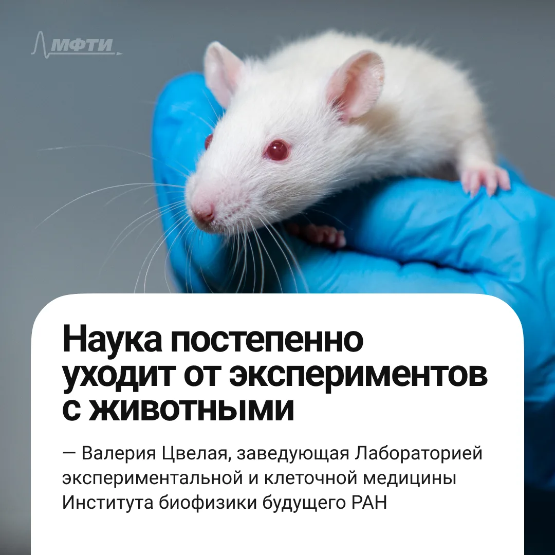 Элджернон больше не будет страдать! 🐁