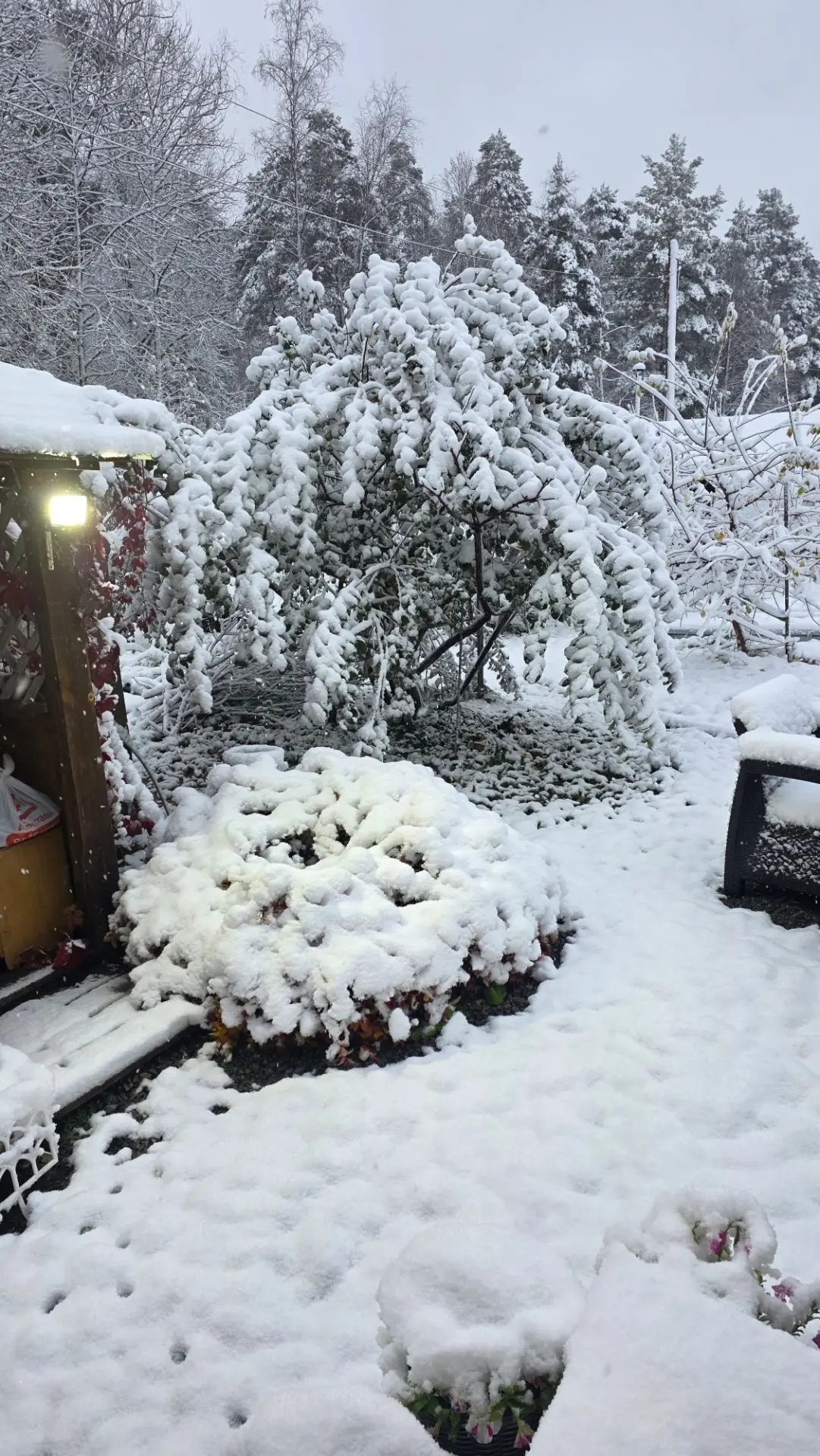 Доброе утро 🫶❄️❄️❄️