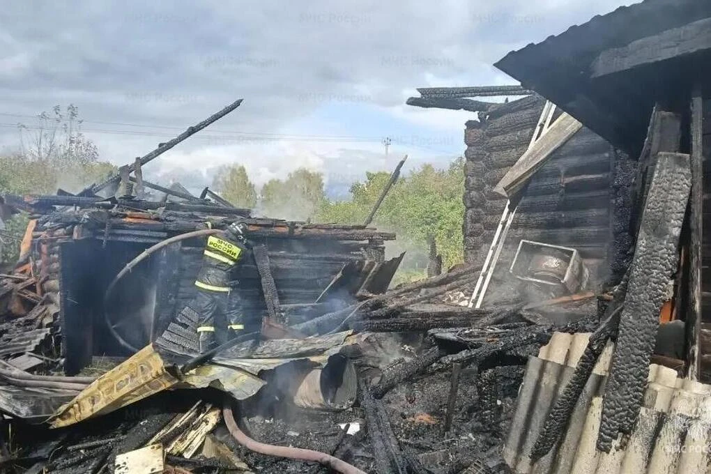⚠️ Внимание, россияне! Трагический инцидент произошел в Судогодском районе. 🔄 Развитие...