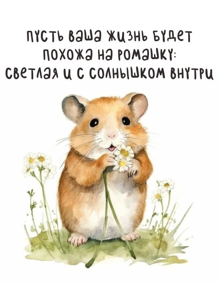 Открытки любимым