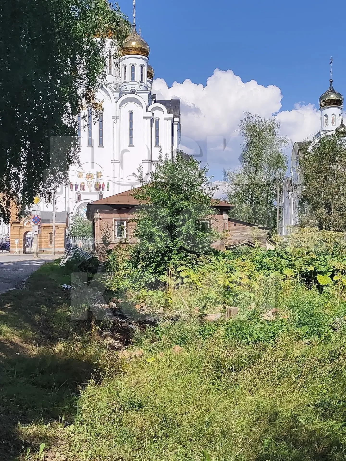 Борщевик в районе храма