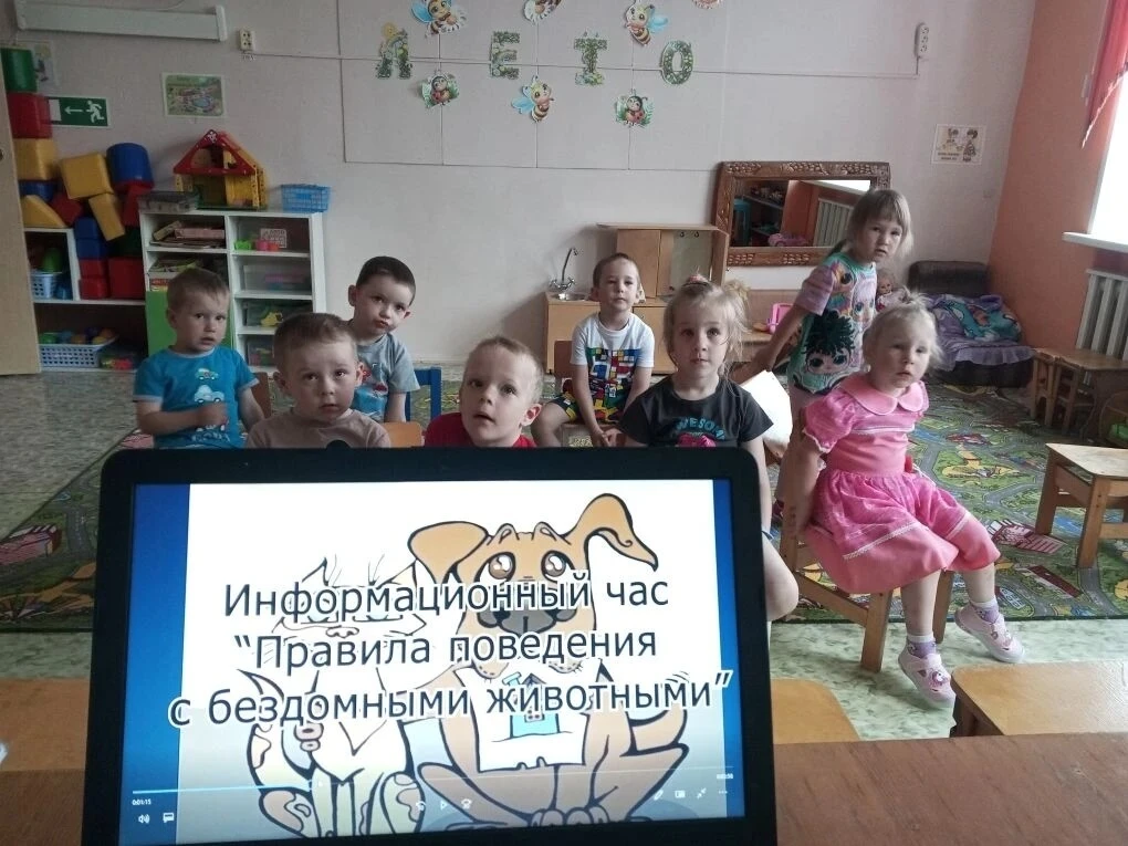 🐶🐱 В детском саду говорили о наших четвероногих друзьях!
Прошла увлекательная беседа «Животные — 
