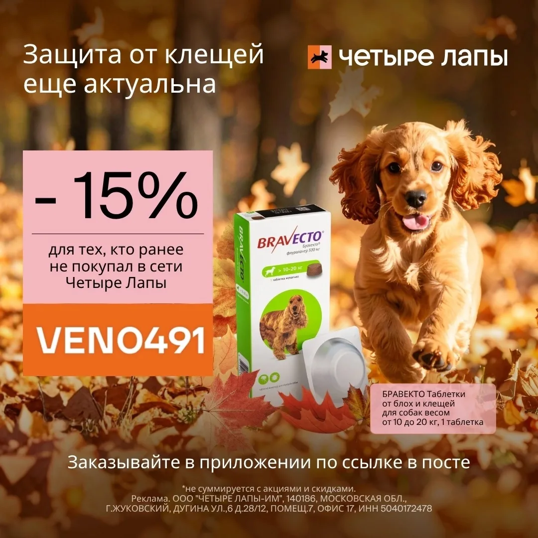 Скидка до 15% в Четыре Лапы