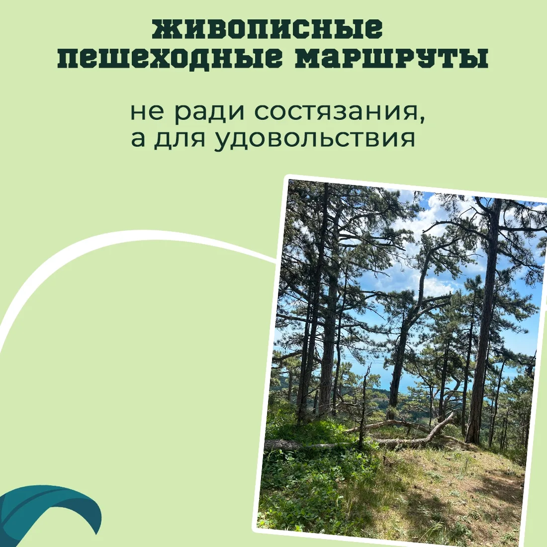 ✅ Для тех, кто ценит движение и здоровый образ жизни, сделали подборку маршрутов с разн...