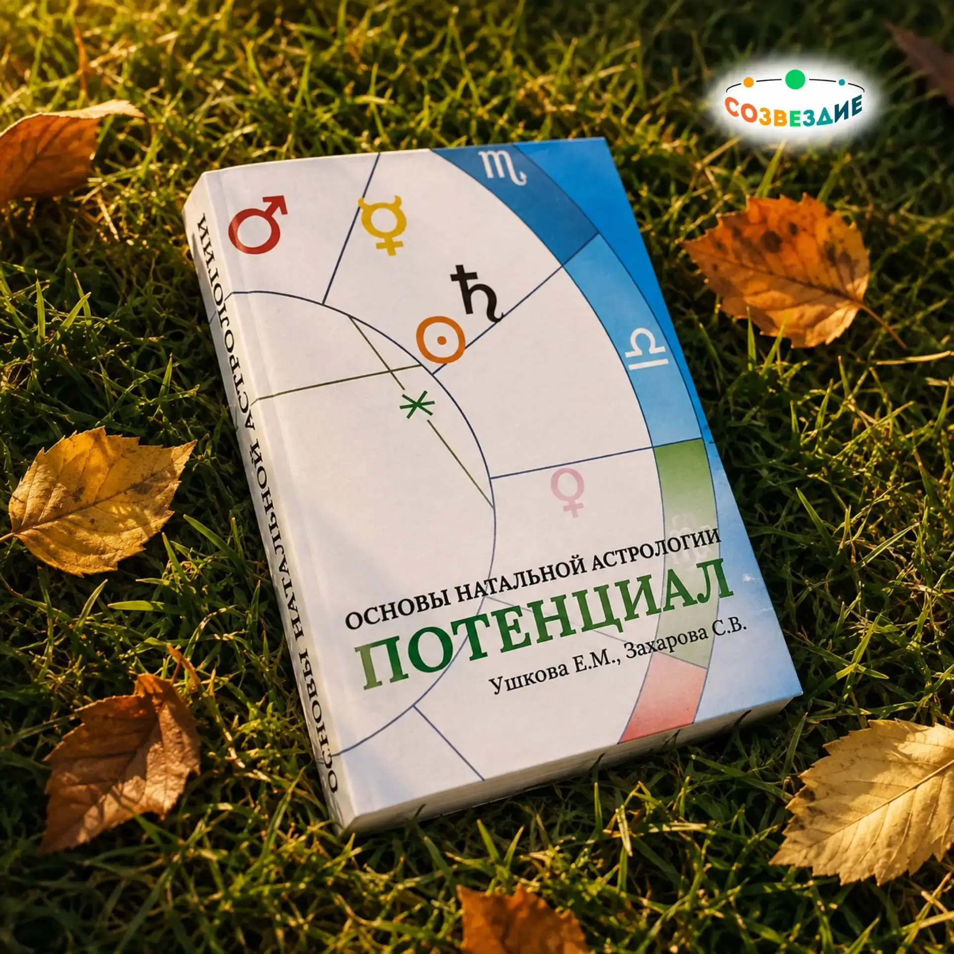 📖 Почему мы так хотим понять себя?